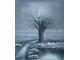 Obraz - Černobílý strom