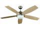 Stropní ventilátor se světlem VANU matný nikl